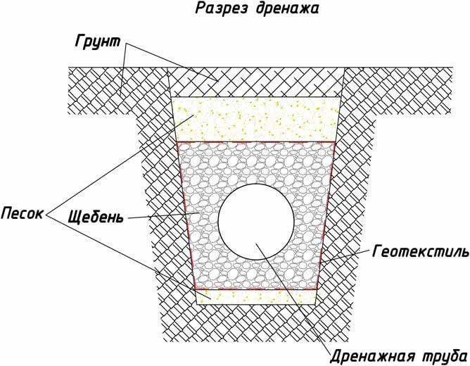 6.jpg?lang=ru